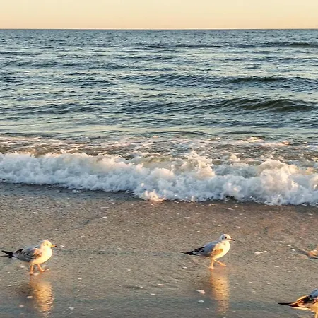 Апартаменты 2 Bedroom In Jezierzany