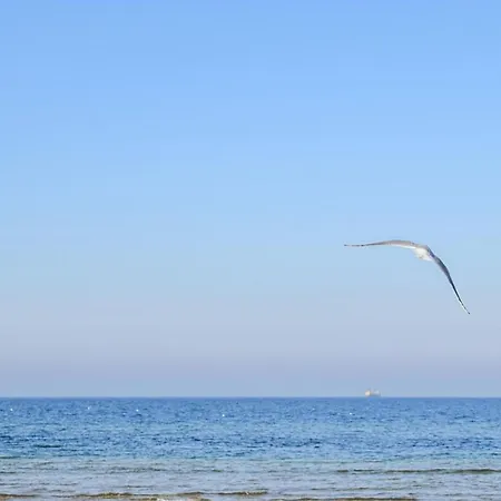 2 Bedroom In Апартаменты Jezierzany