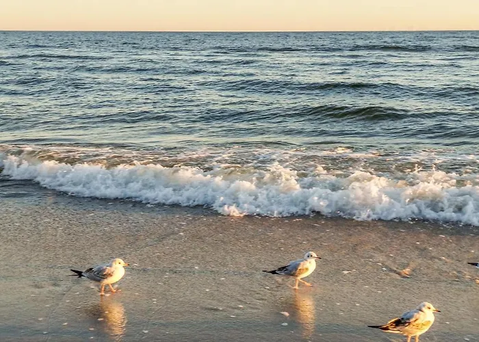 Apartamento 2 Bedroom In Jezierzany