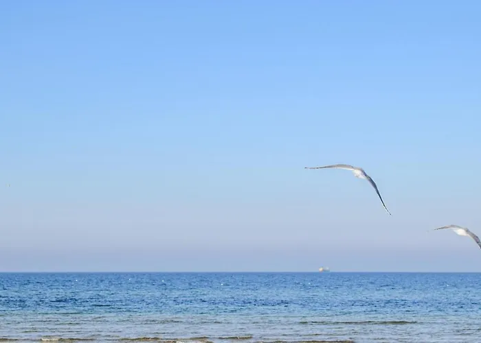 2 Bedroom In Apartamento Jezierzany